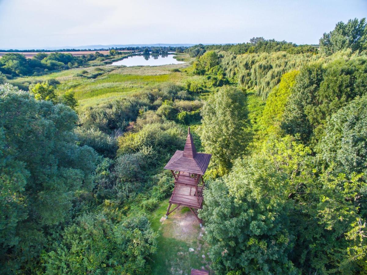 Töreki 34 Vendégház Siófok Exterior foto