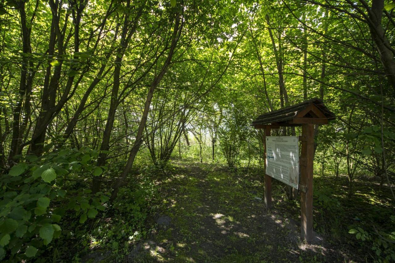 Töreki 34 Vendégház Siófok Exterior foto